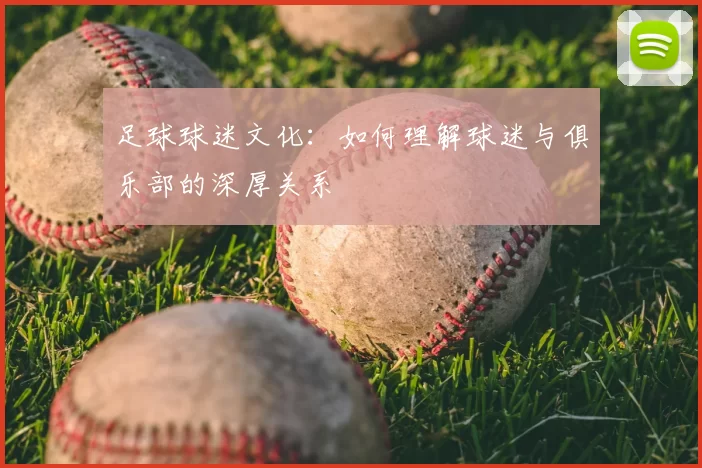 足球球迷文化：如何理解球迷与俱乐部的深厚关系