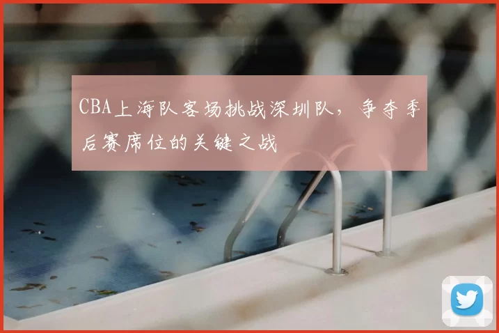 CBA上海队客场挑战深圳队，争夺季后赛席位的关键之战