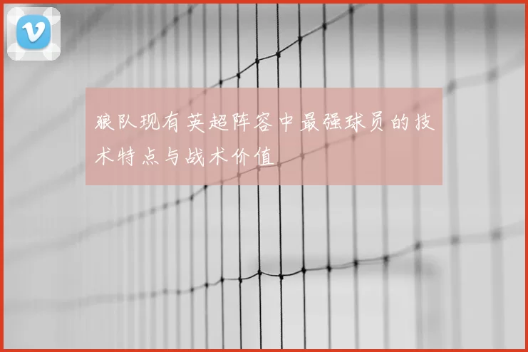 狼队现有英超阵容中最强球员的技术特点与战术价值