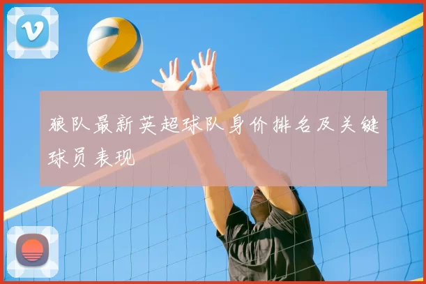 狼队最新英超球队身价排名及关键球员表现