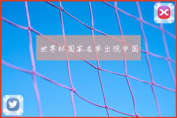 世界杯国家名单出现中国