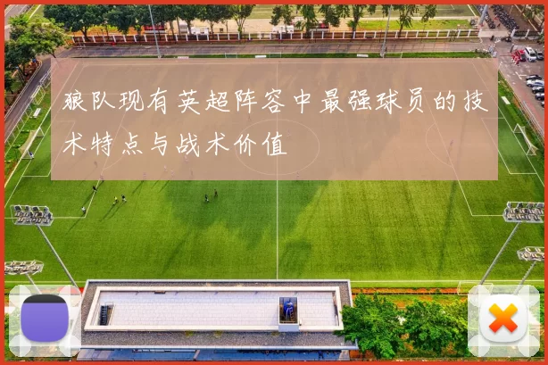 狼队现有英超阵容中最强球员的技术特点与战术价值