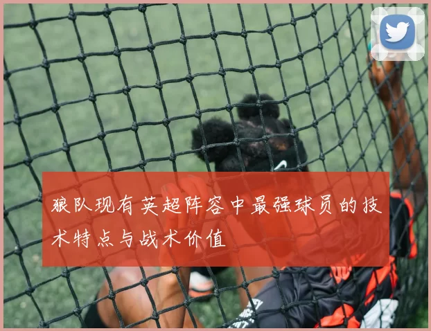 狼队现有英超阵容中最强球员的技术特点与战术价值