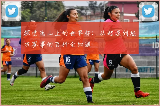 探索高山上的世界杯：从起源到经典赛事的百科全知道