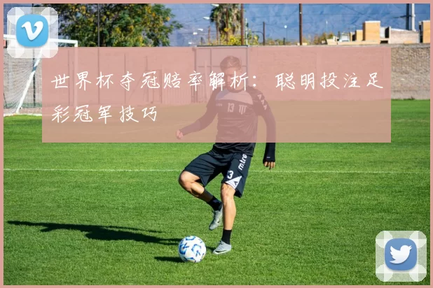 世界杯夺冠赔率解析:聪明投注足彩冠军技巧
