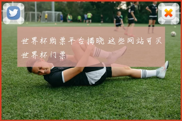 世界杯购票平台揭晓 这些网站可买世界杯门票