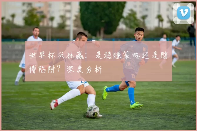 世界杯买独赢:是稳赚策略还是赌博陷阱?深度分析