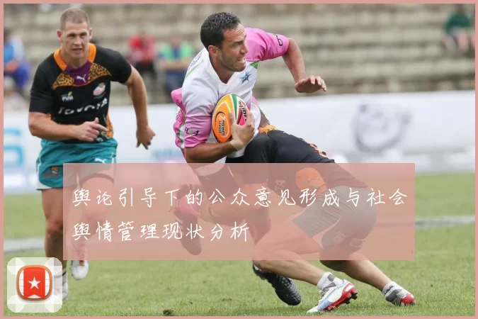 舆论引导下的公众意见形成与社会舆情管理现状分析