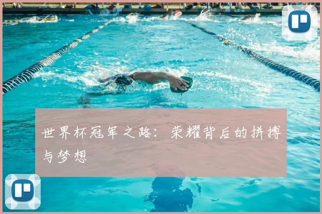 世界杯冠军之路:荣耀背后的拼搏与梦想