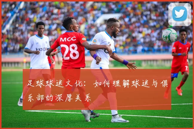足球球迷文化：如何理解球迷与俱乐部的深厚关系